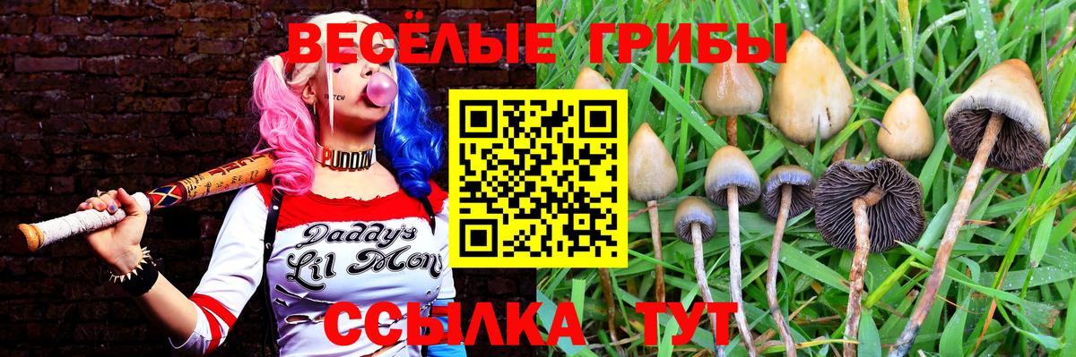 Псилоцибиновые грибы Magic Shrooms  Вход с VPN  Истра 